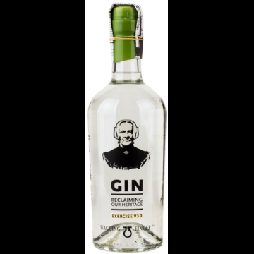 Wagging Finger Deventer Gin Exercise V3.0