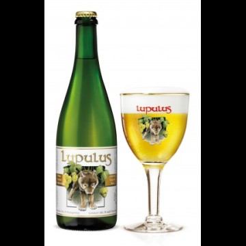 Lupulus Tripel