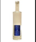 Blanche De Montal d'Armagnac