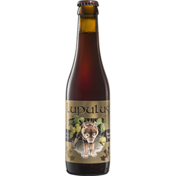Lupulus Bruin