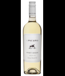 Epicuro Pinot Grigio
